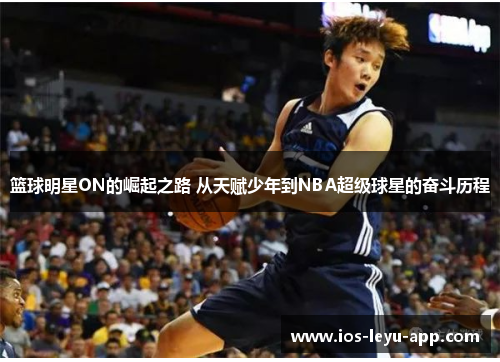 篮球明星ON的崛起之路 从天赋少年到NBA超级球星的奋斗历程